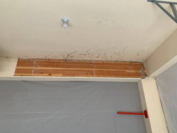 Best Residential Mold Inspection & Testing  in Vicksburg, MS